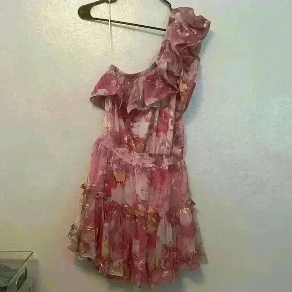 Buddy Love - Women’s Small - Sofia Dress - One Shoulder Pink/Gold - Picture 4 of 8